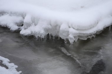 Kış zamanı dağ nehri. Ladin ormanı ve karla kaplı kıyısı olan Karpatya manzarası. Ulusal Park, Ukrayna