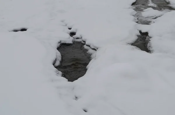 Fiume Montagna Inverno Paesaggio Carpatico Con Bosco Abeti Rossi Sponda — Foto Stock