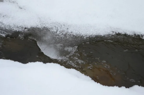 Fiume Montagna Inverno Paesaggio Carpatico Con Bosco Abeti Rossi Sponda — Foto Stock