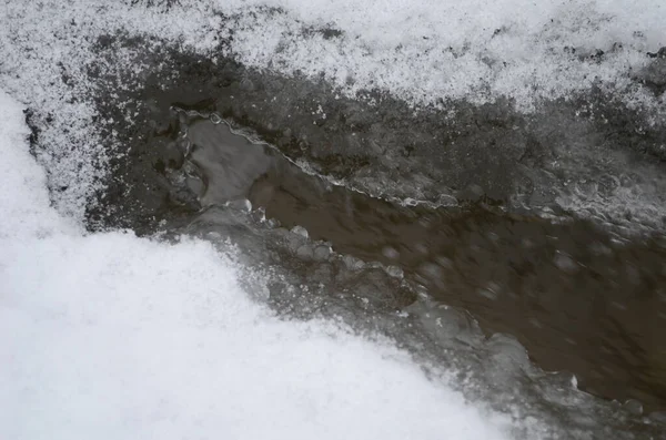 Fiume Montagna Inverno Paesaggio Carpatico Con Bosco Abeti Rossi Sponda — Foto Stock