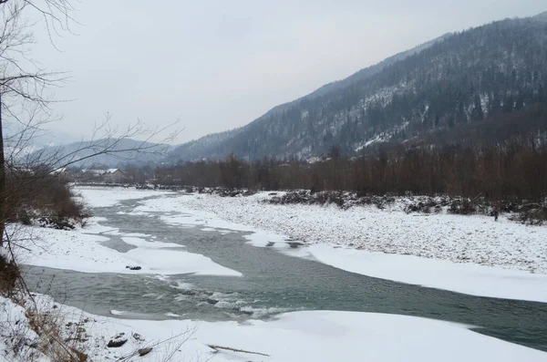 Mountain River Wintertime Carpathian Landscape Spruce Forest Snow Covered Shore — Stock Photo, Image