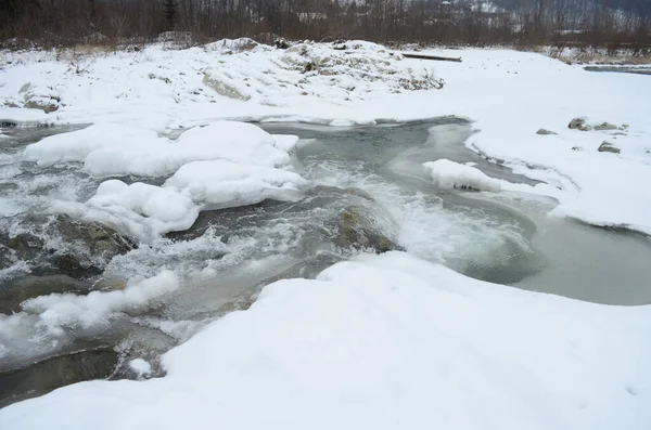 Gebirgsfluss Winter Karpatenlandschaft Mit Fichtenwald Und Schneebedecktem Ufer Nationalpark Ukraine — Stockfoto