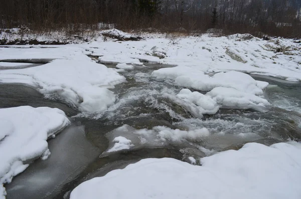 Fiume Montagna Inverno Paesaggio Carpatico Con Bosco Abeti Rossi Sponda — Foto Stock