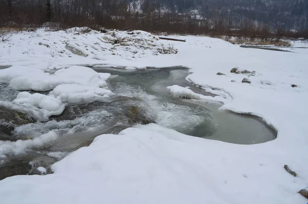 Mountain River Wintertime Carpathian Landscape Spruce Forest Snow Covered Shore — Stock Photo, Image