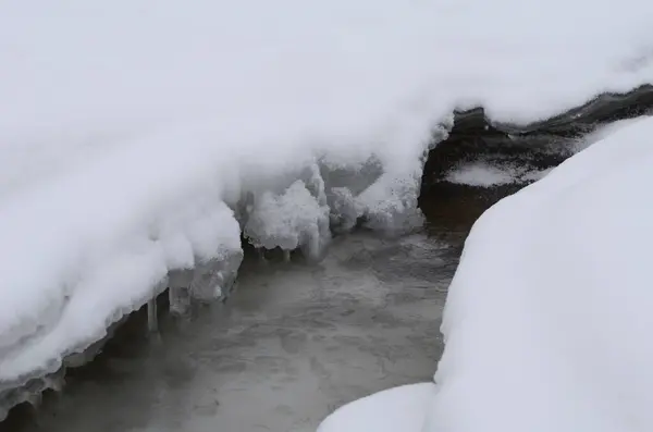 过冬时节的山河 喀尔巴阡山景观 云杉林 积雪覆盖海岸 Ukraine国家公园 — 图库照片