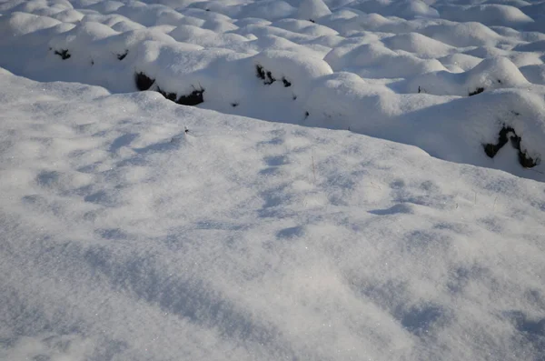 漂亮的桌上型雪纹壁纸 岩石上降雪的纹理 收集新的积雪 新的降雪 — 图库照片