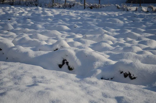 漂亮的桌上型雪纹壁纸 岩石上降雪的纹理 收集新的积雪 新的降雪 — 图库照片