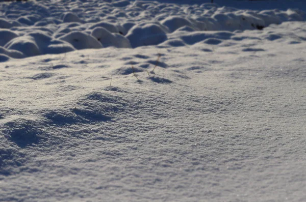 Vacker Snö Mönster Tapeter För Skrivbordet Textur Snöfall Sten Samling — Stockfoto