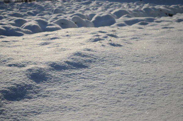 Piękny Wzór Śniegu Tapety Pulpit Tekstura Opadów Śniegu Skale Kolekcja — Zdjęcie stockowe