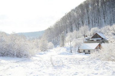 Kış manzarasında donmuş bir nehir. Ormanlı kış manzarası, bulutlu gökyüzü ve güneş.