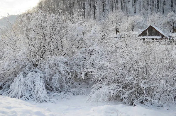 A frozen river in a wintry landscape. Winter landscape with forest, cloudy sky and sun.