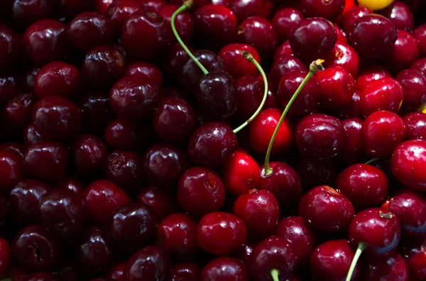 Cereja Doce Cerejas Pretas Com Gotas Água Como Fundo — Fotografia de Stock