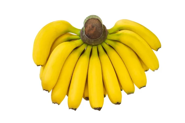 白い背景に隔離された小さなバナナの束 — ストック写真
