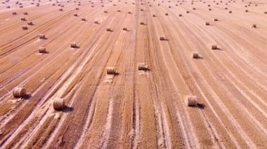 Hasat alanından saman balyalarıyla geçen bir hava görüntüsü. Drone görünümü.