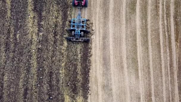 Červený Traktor Brázdami Připravuje Zemědělskou Půdu Pro Pěstování Plodin Pohled — Stock video