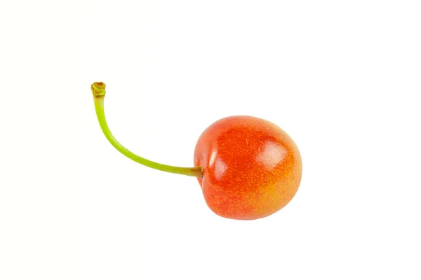 One Candid Orange Cherry Berry Isolated White Background — Stock Photo, Image