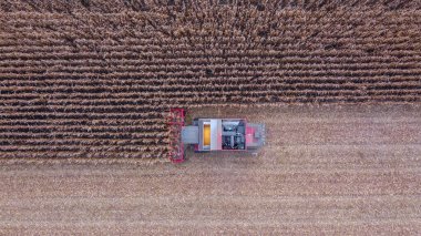 Mısırları toplarken kırmızı hasatçının hava görüntüsü