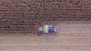 Mısırları toplarken kırmızı hasatçının hava görüntüsü