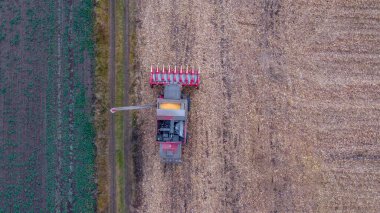 Mısırları toplarken kırmızı hasatçının hava görüntüsü