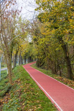 Sonbahar parkında ya da ormanda kırmızı spor geçmişi olan açık havada koşu pisti. Doğa kavramında egzersiz
