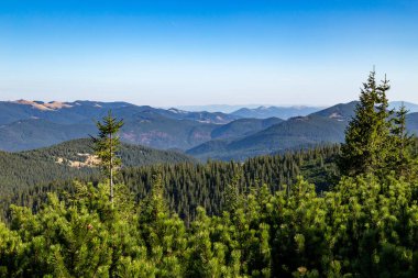 Karpatya dağlarının manzarası Hoverla dağından gözlendi. Ağaçların tepeleri ormanın daha küçük dağlarında görülebiliyordu.