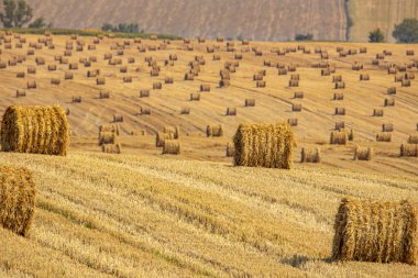 Sonu gelmez saman balyalarıyla