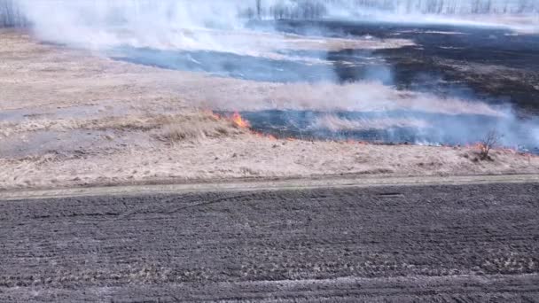 野火の煙の空中映像 火の中の森と畑 アマゾンとシベリアの野火 乾いた草が燃える 気候変動 生態学 — ストック動画