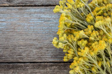 İlkbahar, ilkbahar ya da yaz arkaplanı sarı çiçekli eski bir ahşap ve metin ya da maketiniz için kopyalama alanı