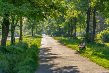 2013 'te Lutsk Halk Merkezi Parkı. Eski Sovyet mirası fotoğrafı. Bu görüşler dramatik bir şekilde değişti.