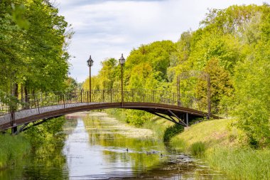 Lutsk parkında aşk köprüsü. Yürüyüş için popüler yerler ve fotoğraf çekmek için düğün törenleri. Bereketli bahar yaprakları dönemi