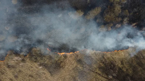 Kebakaran Hutan Atau Kebakaran Semak Sudah Umum Sekarang Konsep Musim Stok Gambar Bebas Royalti