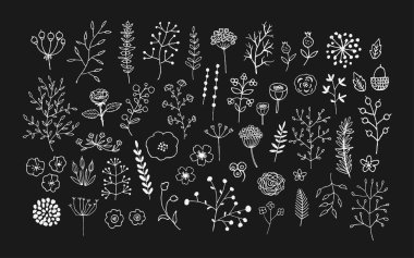 el çekilmiş vintage çiçek öğeleri