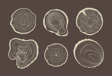 Ağaç halkaları topluluğu