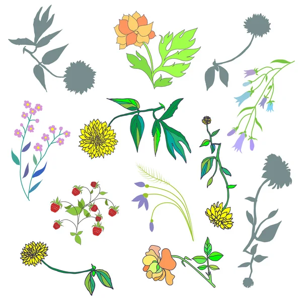 Набор цветов — стоковый вектор