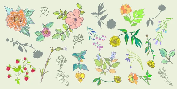 Ensemble de fleurs — Image vectorielle