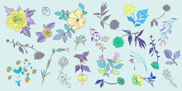 Conjunto de flores — Vector de stock