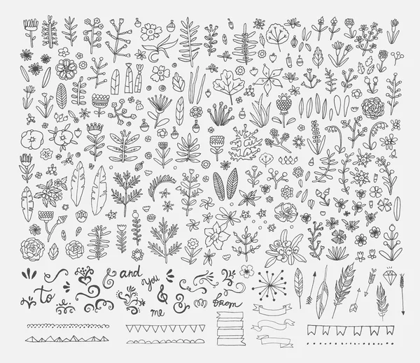 Hand Drawn vintage floral elements — Stock Vector