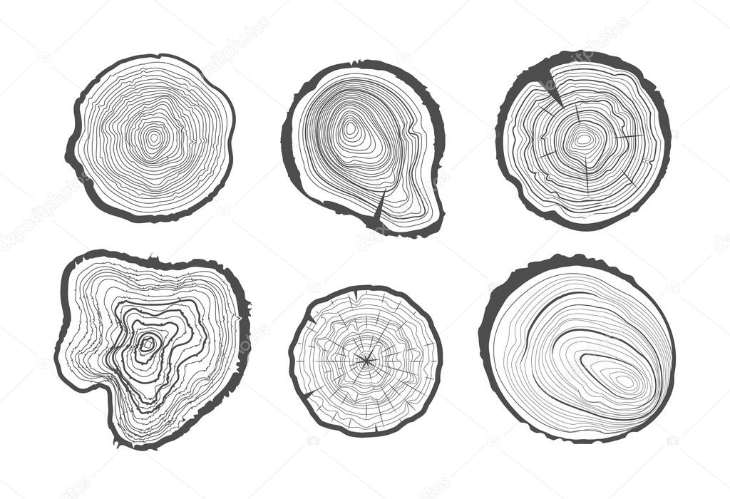 Collection of tree-rings