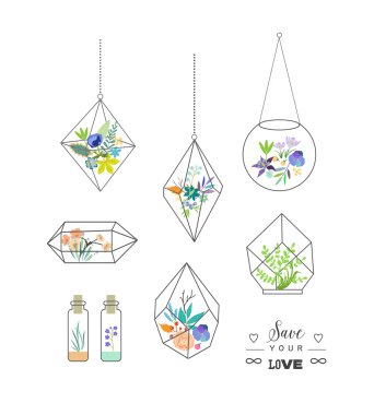 Beautiful terrariums with flowers. Wedding, marriage, bridal, bi clipart