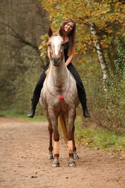 Menina incrível montando um cavalo sem freio — Fotografia de Stock