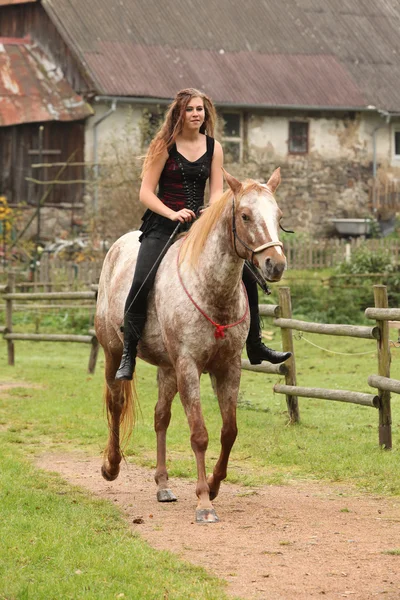 Increíble chica montando un caballo sin brida — Foto de Stock