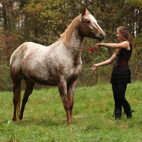 Κοπέλα που εργάζεται με άλογο, φυσικό horsemanship — Φωτογραφία Αρχείου