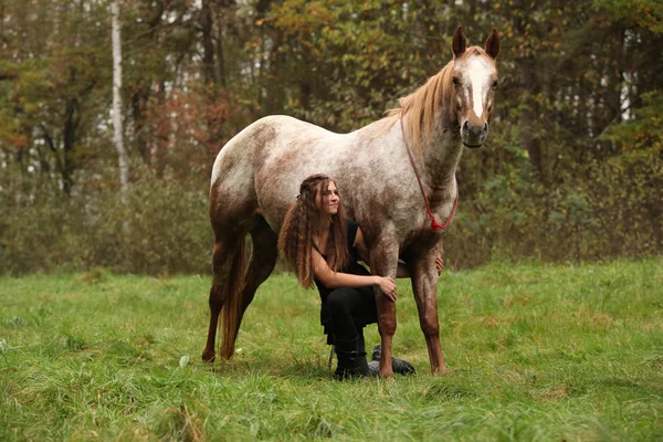 Jong meisje werken met paard, natuurlijke paardrijderskunst — Stockfoto