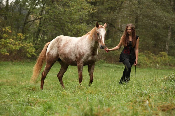 Jovem trabalhando com cavalo, equitação natural — Fotografia de Stock