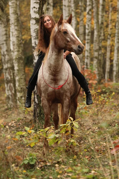 Csinos, fiatal lány, lovaglás a ló, anélkül, berendezések ősszel — Stock Fotó