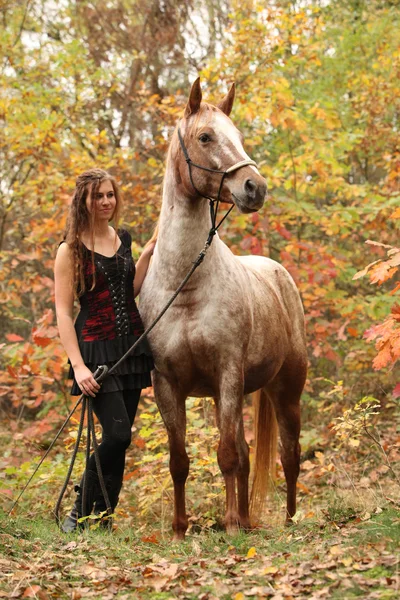 Nettes Mädchen mit langen Haaren, das neben einem tollen Pferd im Herbst steht — Stockfoto