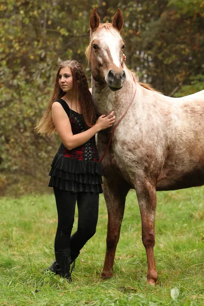 Menina bonita com vestido agradável em pé ao lado de cavalo agradável — Fotografia de Stock