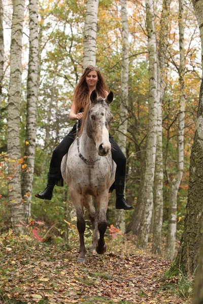 Jovem com cavalo appaloosa no outono — Fotografia de Stock