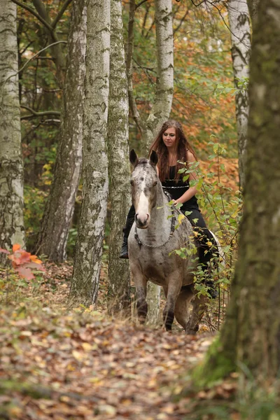 Young girl with appaloosa horse in autumn — Stock Photo, Image