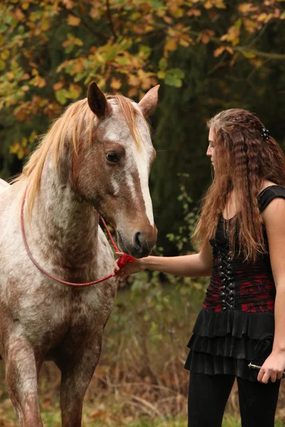 Amazing girl standing next to the appaloosa horse — Stock Photo, Image